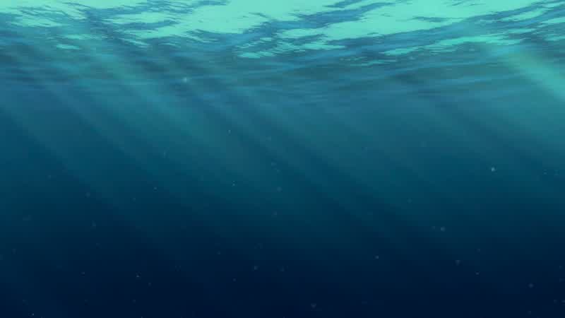 Wow. - Mmm. - Wow. - Mm-hmm. - Wow. - Yes, Marlin