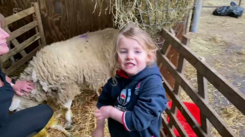 Wow. That's my first lamb I got out