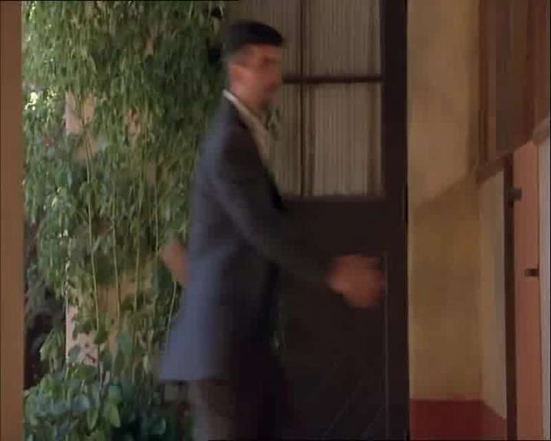 Wow the colors Great shit Sniffing