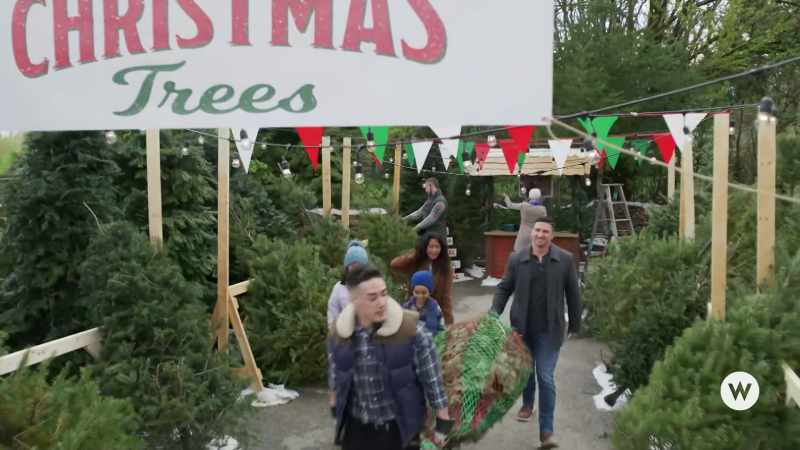 Wow, there's so many trees. Which one will we pick?