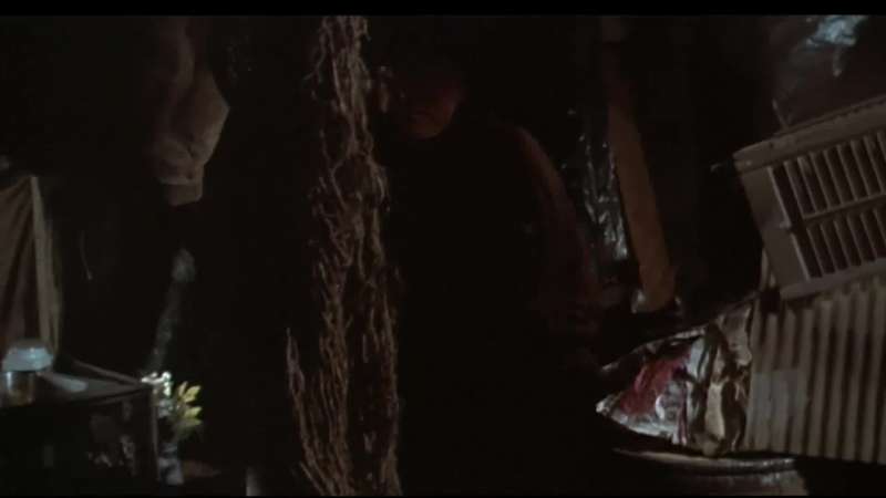 Wynn and Wanda sitting in a tree