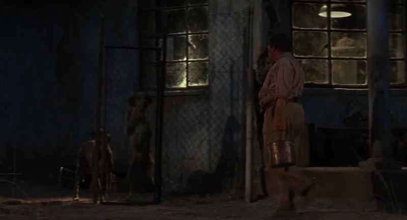 {y:i}(dogs barking)