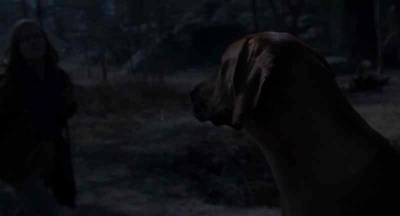 {y:i}(Hintza barks)