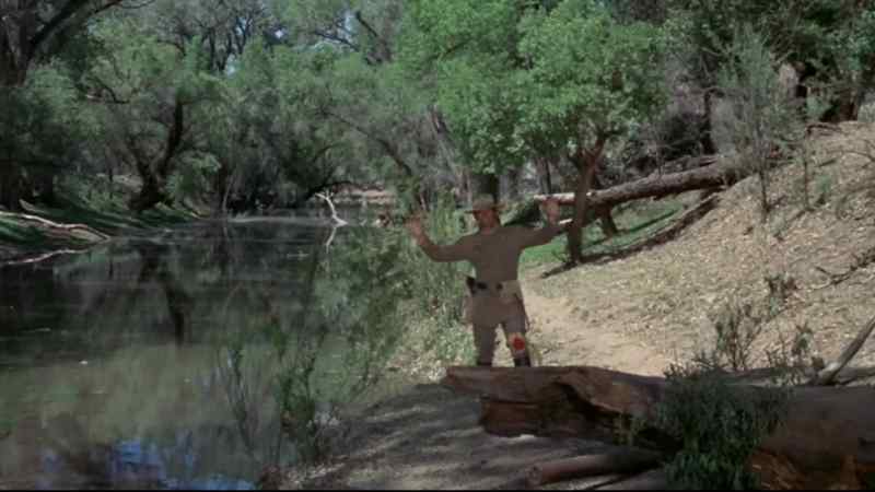 Yank, I'm unarmed