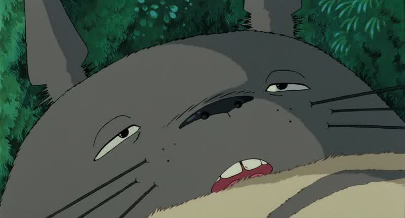 やっぱり トトロね。 トトロ。
