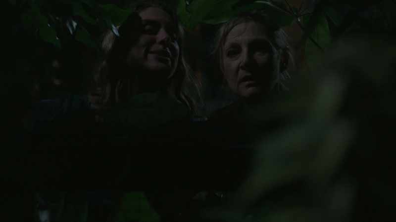 Yeah, Cannabis sativa