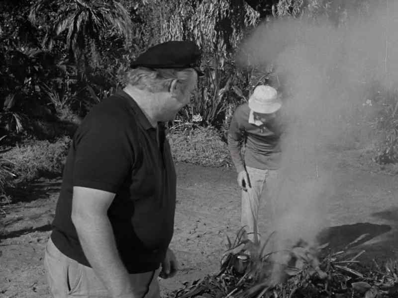 Yeah, that fire and smoke gotta help