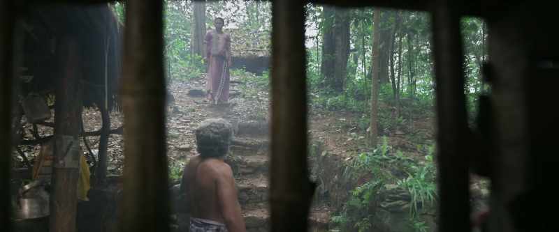 Yeah. He roamed the forest all night. Let him rest
