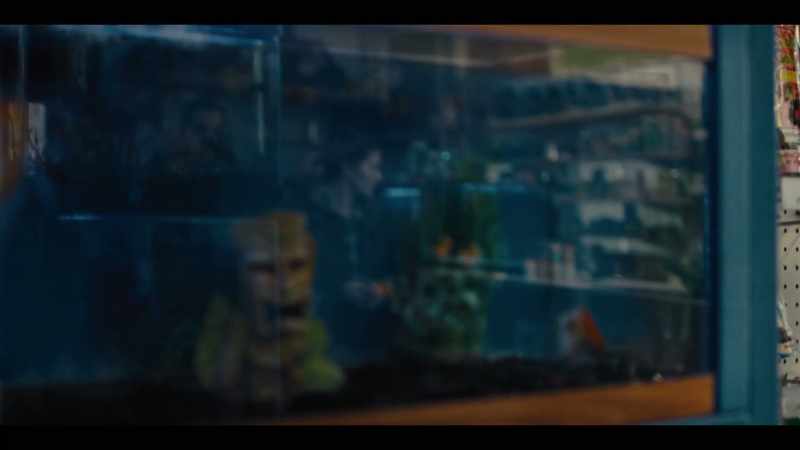 Yeah, I'm looking for a-- for-- like a turtle tank