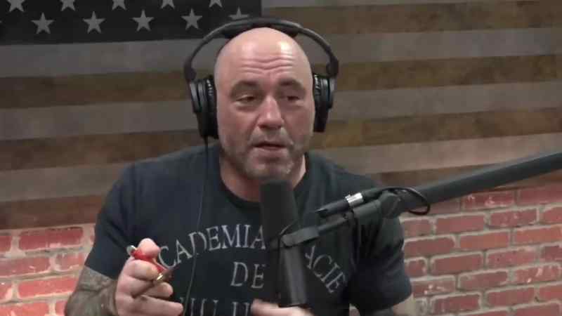 Yeah, you know, Patrice used to say that about comedians that imitated him