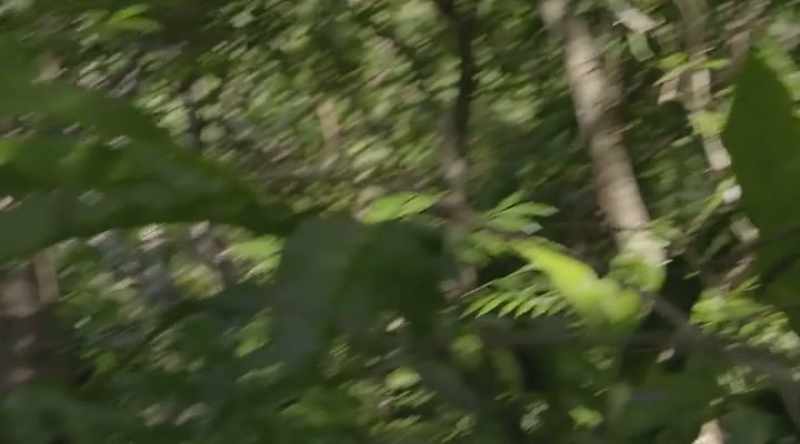 � Yeah, looks like a creek. ‐ Yeah