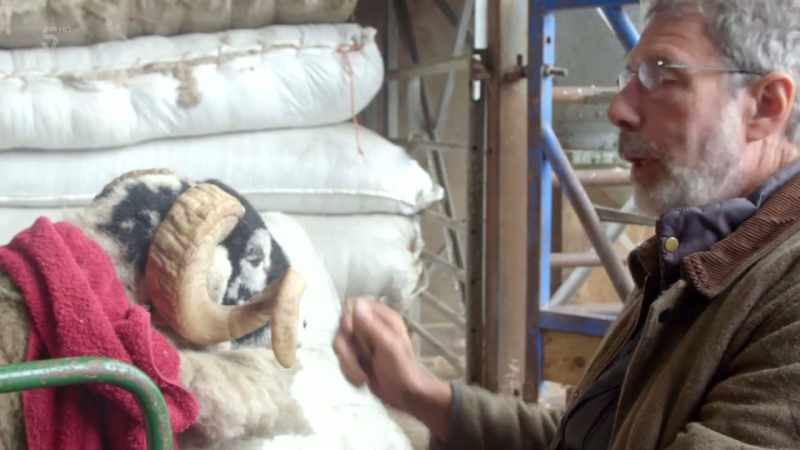 Yeah, you need a sheep that's just a bit special with that presence