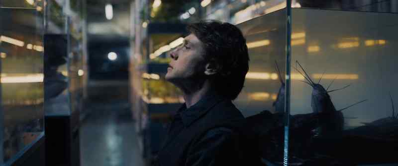 Yeah. Okay