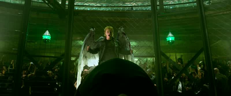 Yeah! Ten fights waged. Ten fights won. The Winged Warrior. The Bird of Prey. The Angel of Death. AN