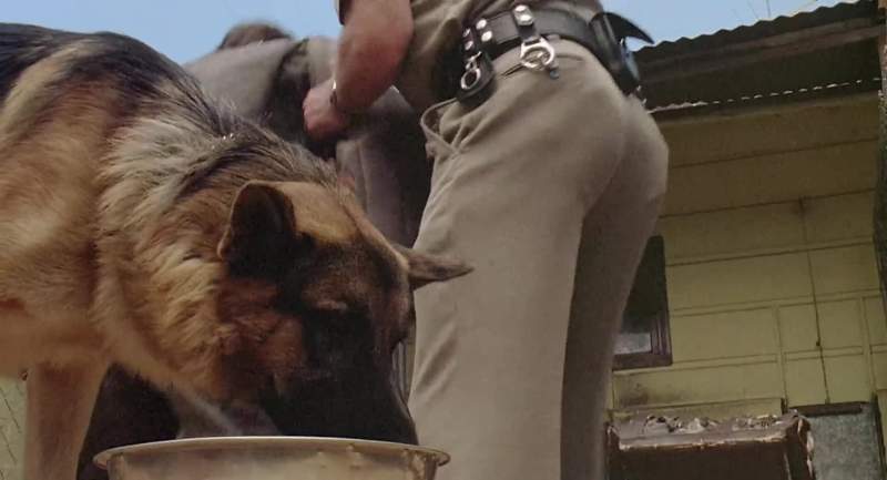 Yeah there he is Best nose on the force