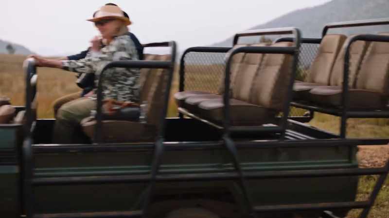 Yeah, there's 18 lions over there... Or there was