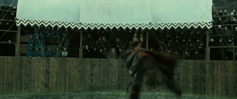 Yeah! Whoo! - Yeah! Well done, dragon!