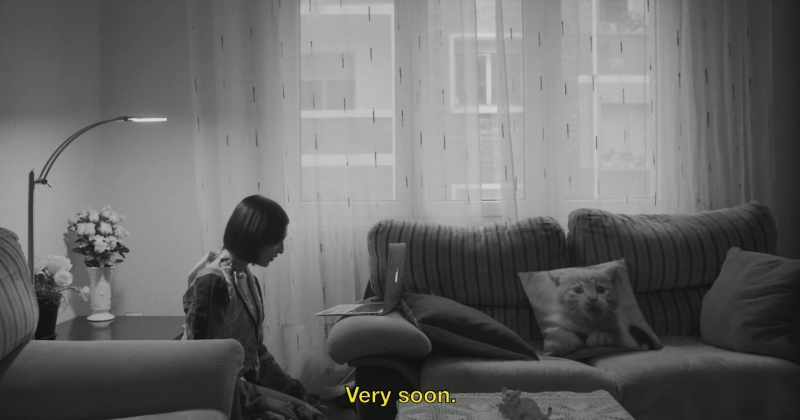 Yeah, yeah