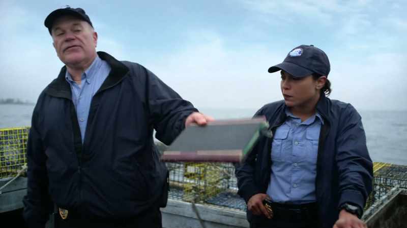 Yeah, yeah. You know, if I had a dollar
