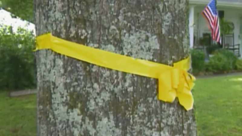 YELLOW RIBBONS STILL ADORN TREES