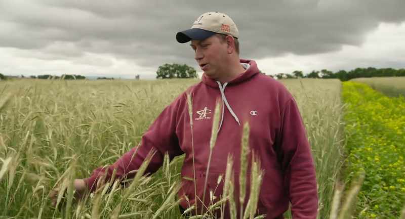 Yes, cover crop seed costs me money
