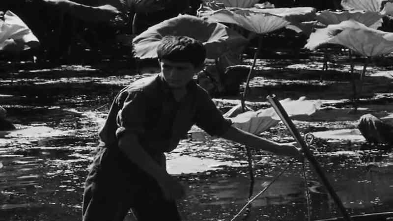 Yes, I know just what you want