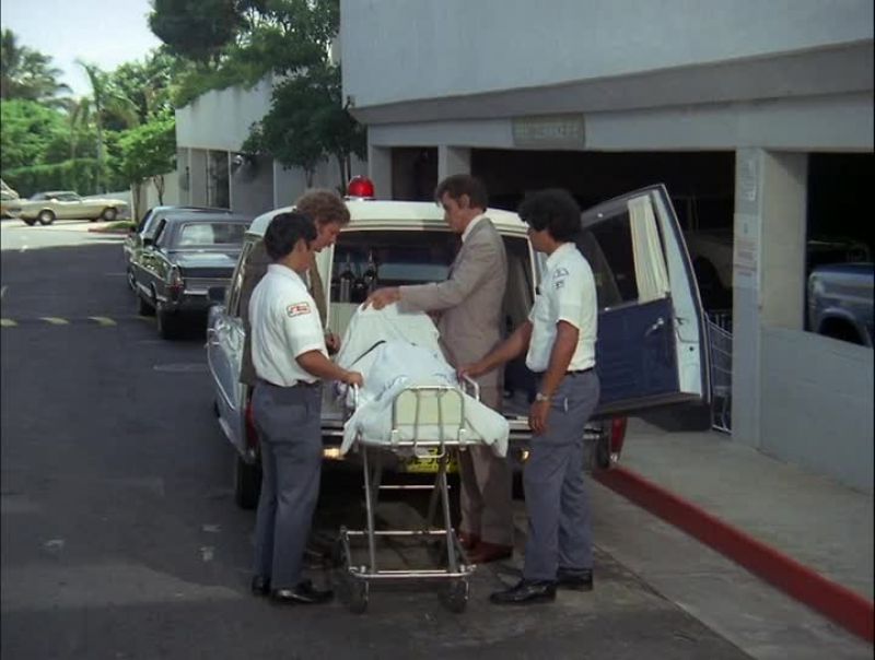 YES, IT'S EVA HAYNES