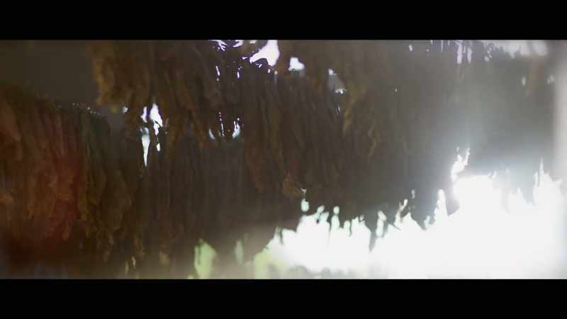 � Yes, Mother, coming