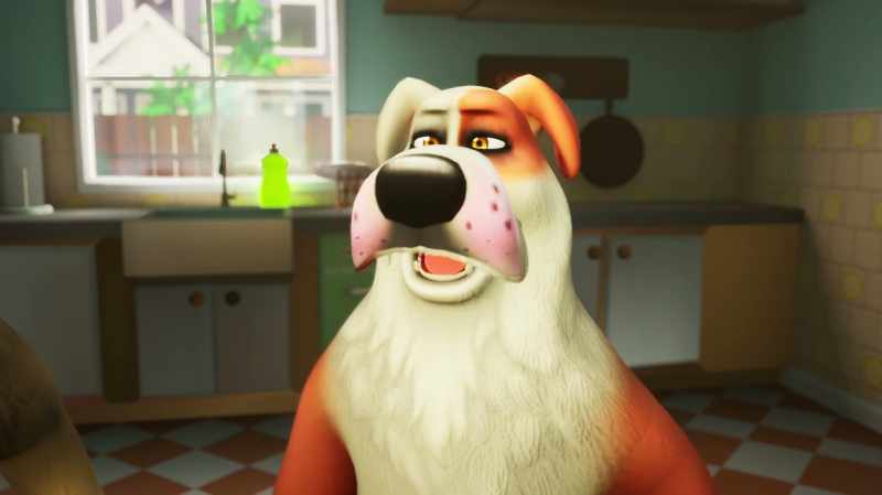 Yes, oh, fresh kibble Sunday's