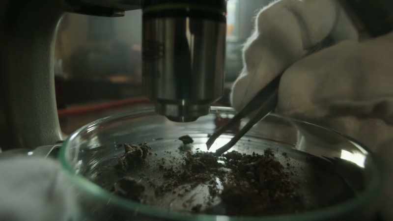 Yes, some intriguing nematodes