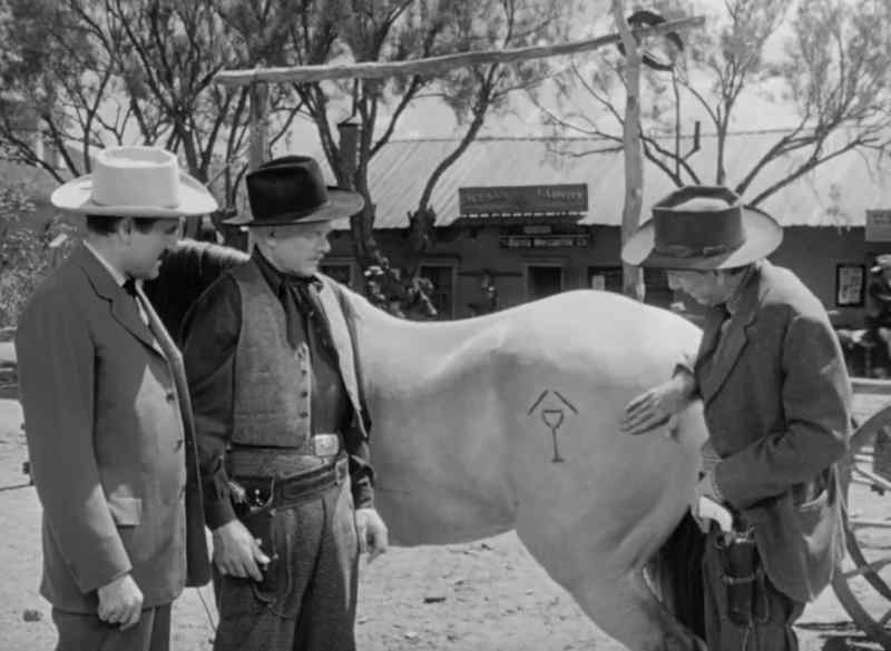 Yes, that's his horse, all right