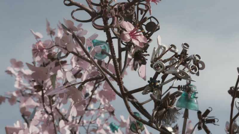 Yet, it comes up to these branches that are blooming