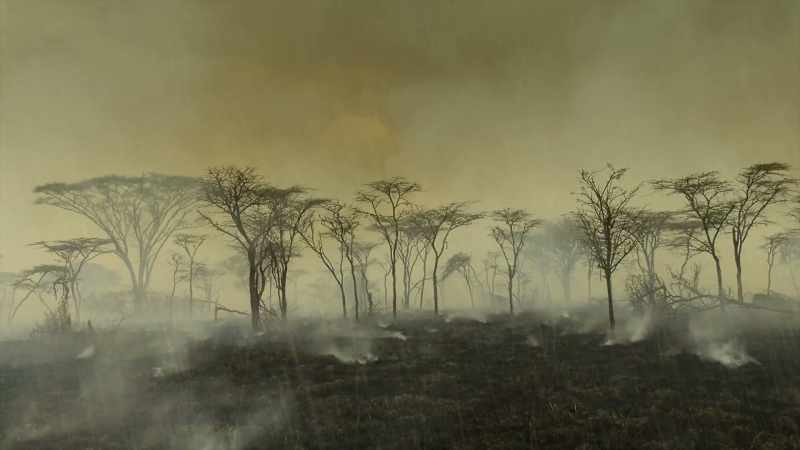 Yet despite the devastation