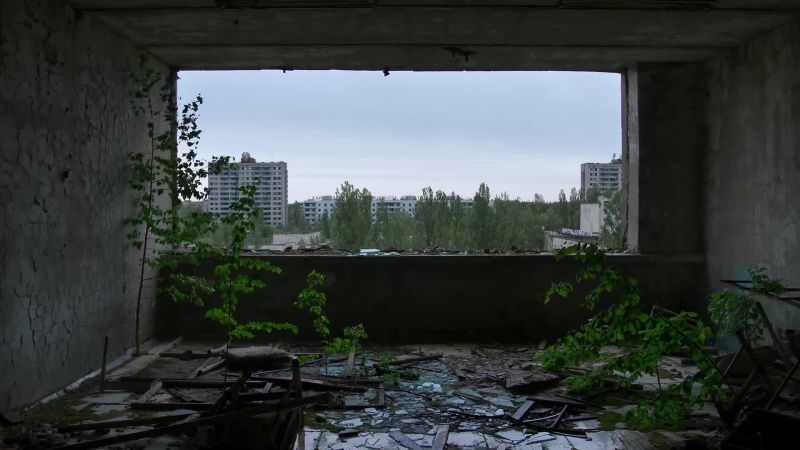 Yet despite the radiation, there has been a remarkable recovery
