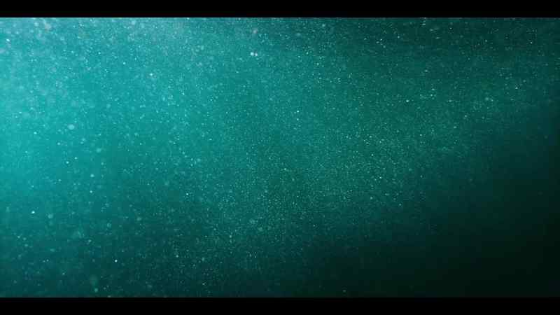 Yet here, in the Southern Ocean