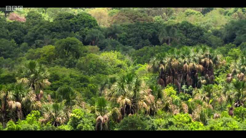 Yet the Cerrado has many unique species