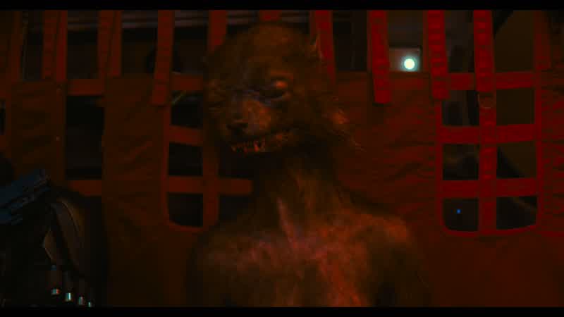 Yo is this a dog WhatIs this thing a dogA A dog YesWhat kind of dog do you think it is mateI don't know I'm not familiar with all the breedsI'm gonna go with Afghan HoundSince when does an Afghan