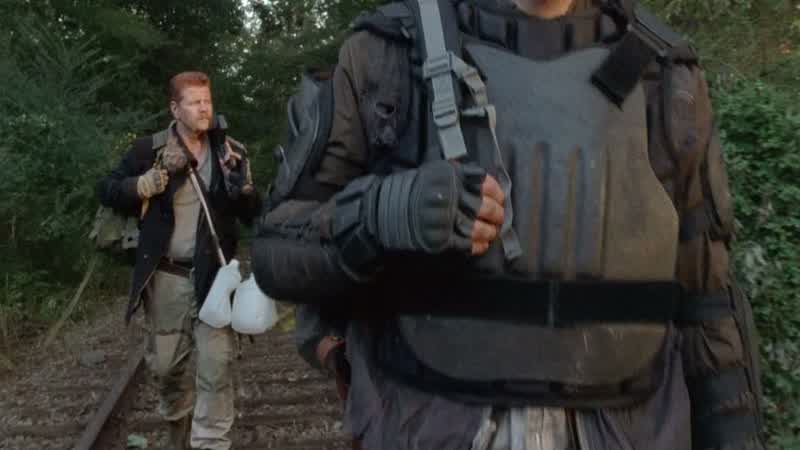 You a cat person, Daryl?