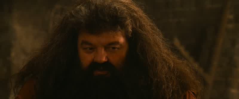 You all right, Harry?