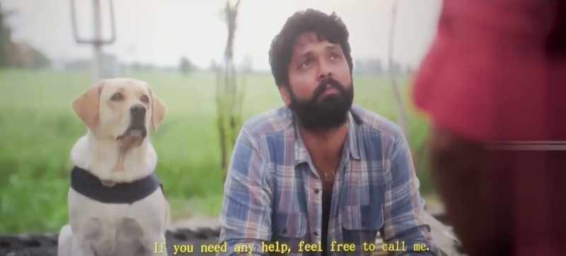 You always blame the system for all the problems