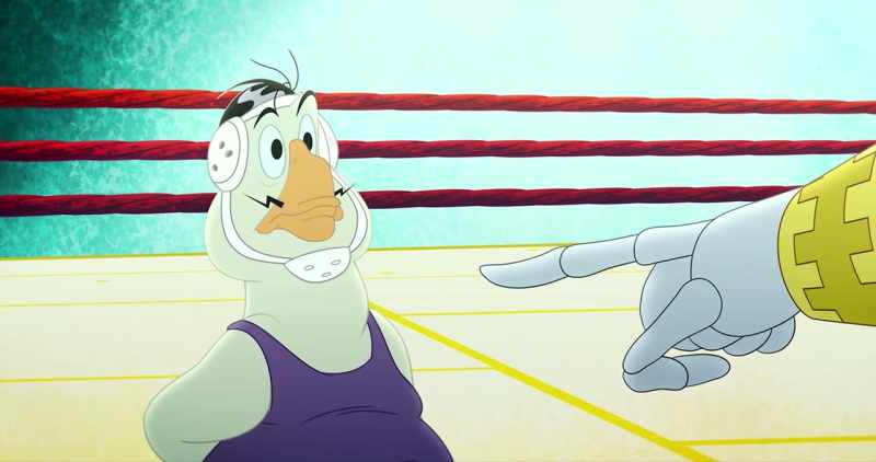 You are disqualified