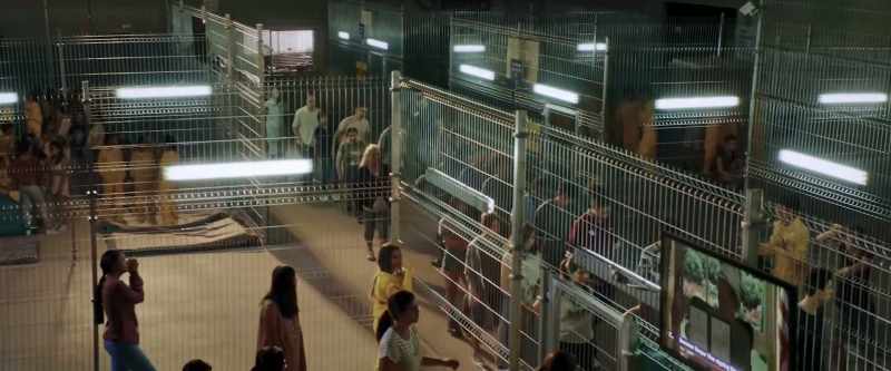 You are in federal custody