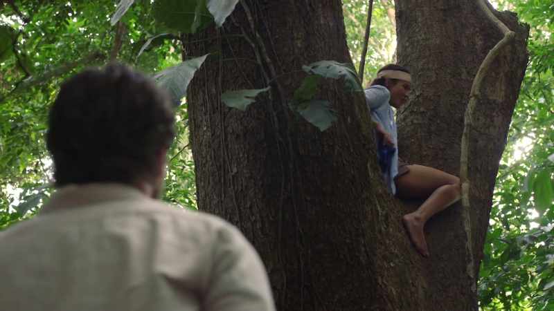 You are literally hung up in the trees over him