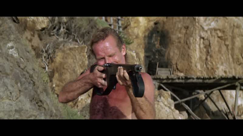 You are not in command Put down that gunShut up