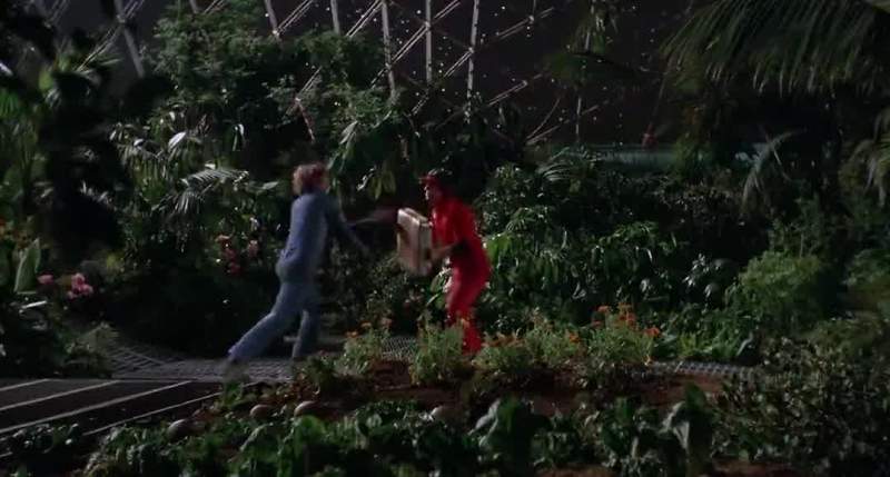 You are NOT using those things in my forest