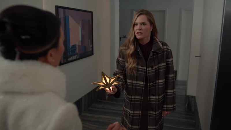 You are some holiday stress-induced hallucination