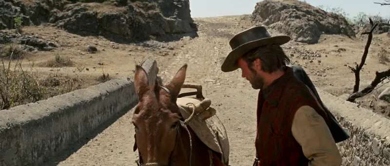 You are as stubborn as my mule