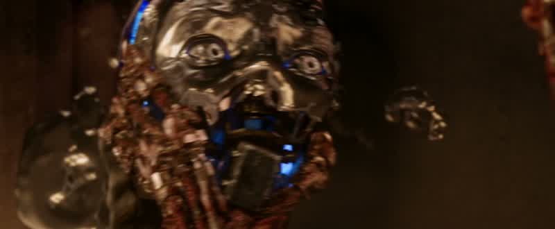 You are terminated