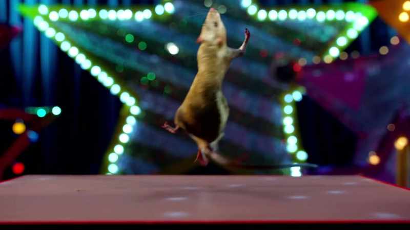 # You are the dancing queen