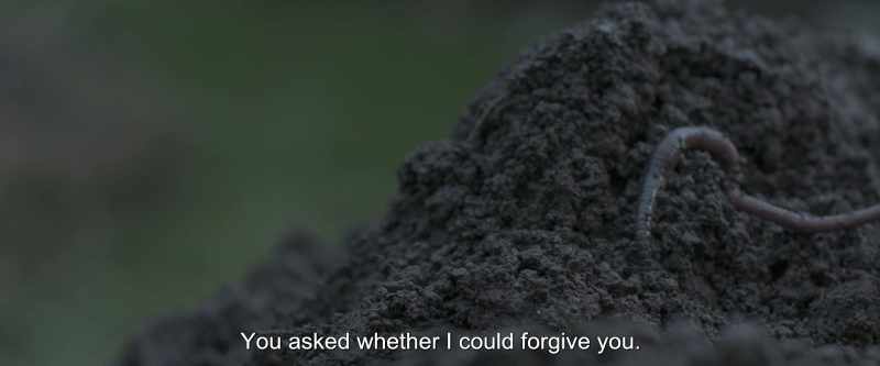 You asked whether I could forgive you